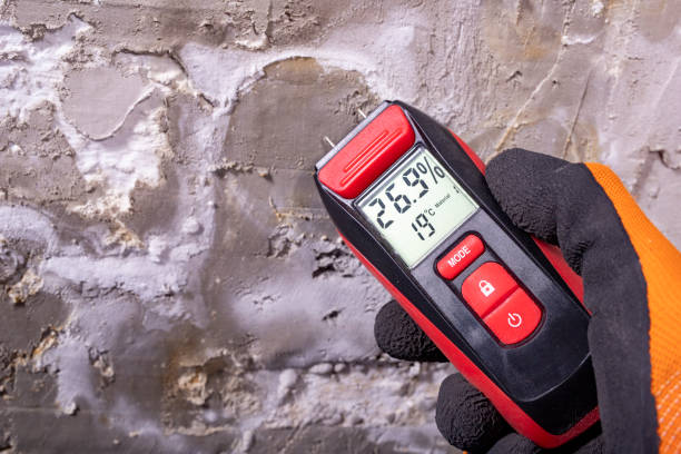 Best Bathroom Mold Remediation in East Shoreham, NY